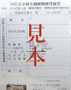 国際希少野生動植物登録票 見本
